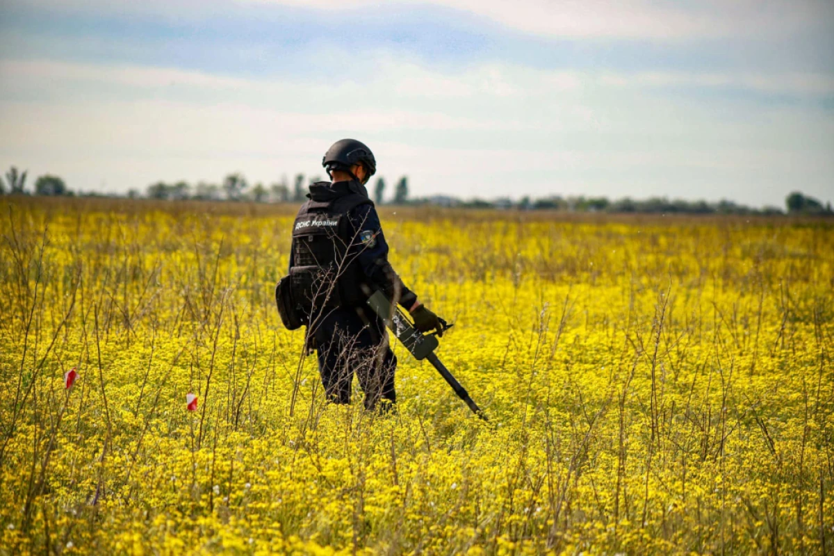 Розмінування території фахівцями ДСНС