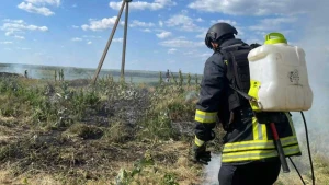рятувальник, ліквідація пожежі, горить суха трава