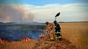 горить суха трава, пожежники