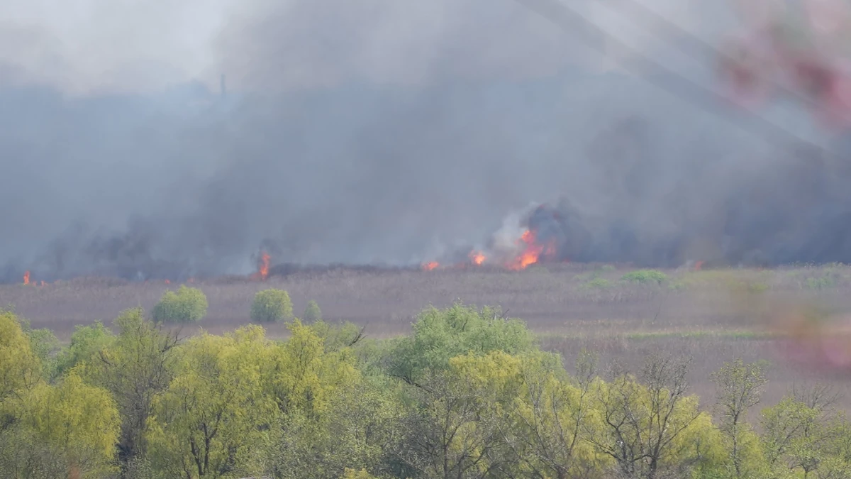 Пожежа на лівому березі у плавнях, Херсон, 10 квітня 2024 року