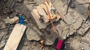 атака в Степанівці