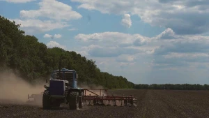 трактор в полі