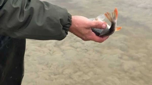 Херсонський рибоохоронний патруль