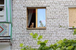 Херсонські вікна

