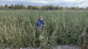 Яків Дідух під час експедицій на Каховське водосховище