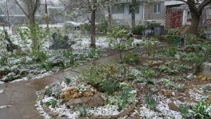 сніг в Херсоні