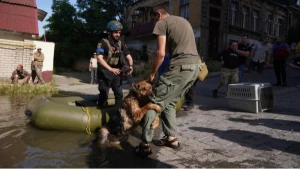 собака Багіра