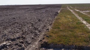 Цілинний степ, розорений агрофірмою "Наутілус" у Чулаківській сільській громаді на Херсонщині