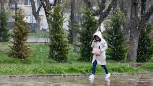 сніг, погода