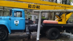 кішка порятунок