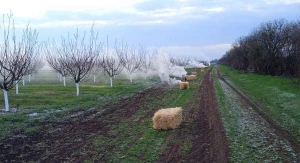 Розпалюють багаття, убезпечуючи абрикосовий сад від заморозків