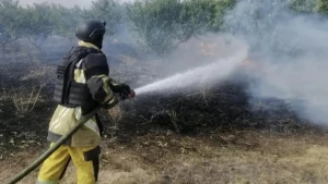 пожежа на Херсонщині