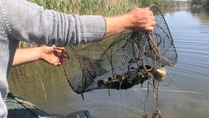 Херсонський рибоохоронний патруль