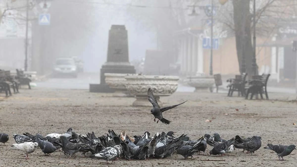 Херсон
