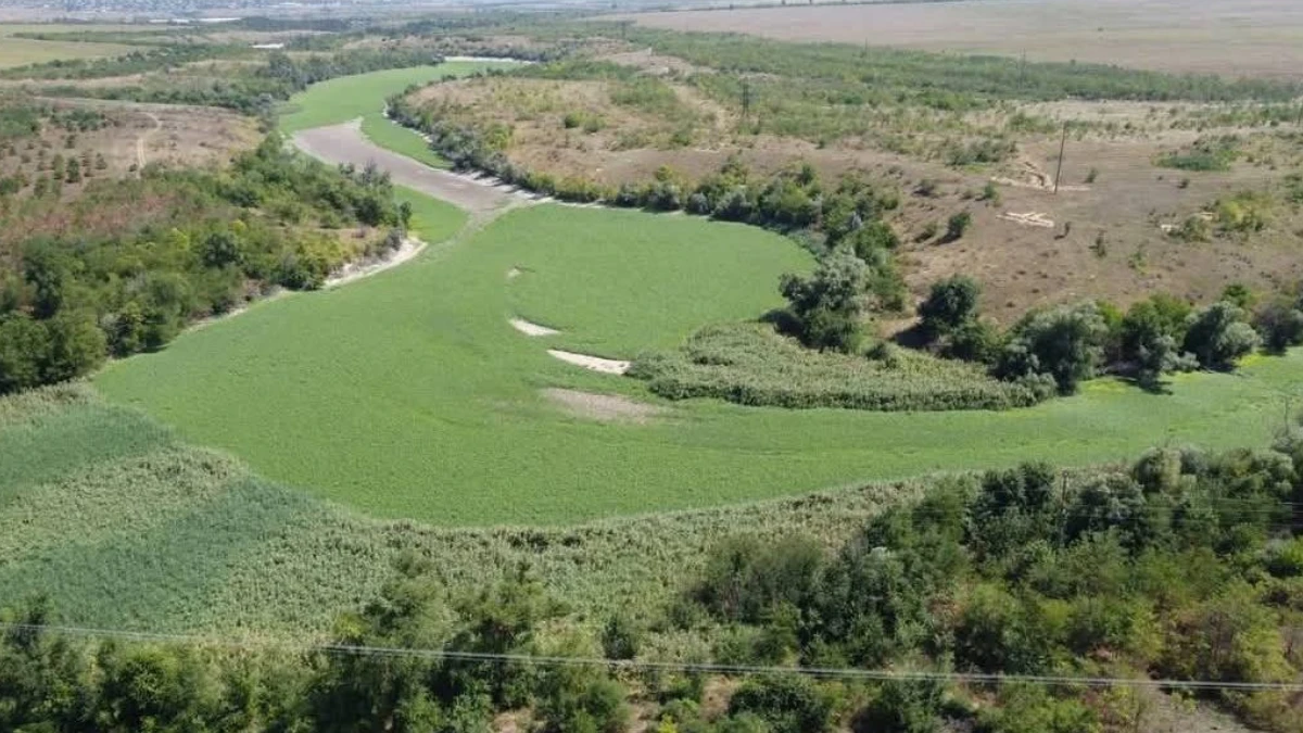 Кам’янська Січ