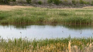 дно колишнього Каховського водосховища