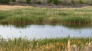 Каховське водосховище