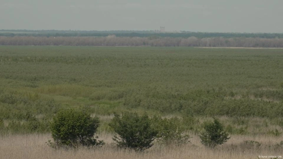 Дно колишнього Каховського водосховища