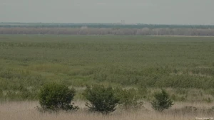 Дно колишнього Каховського водосховища