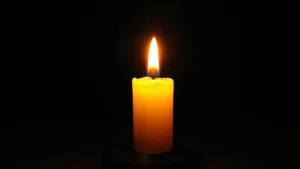 Зображення ілюстративне