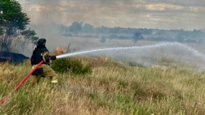 ліквідація пожежі