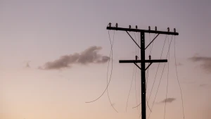 Зображення ілюстративне. Canva