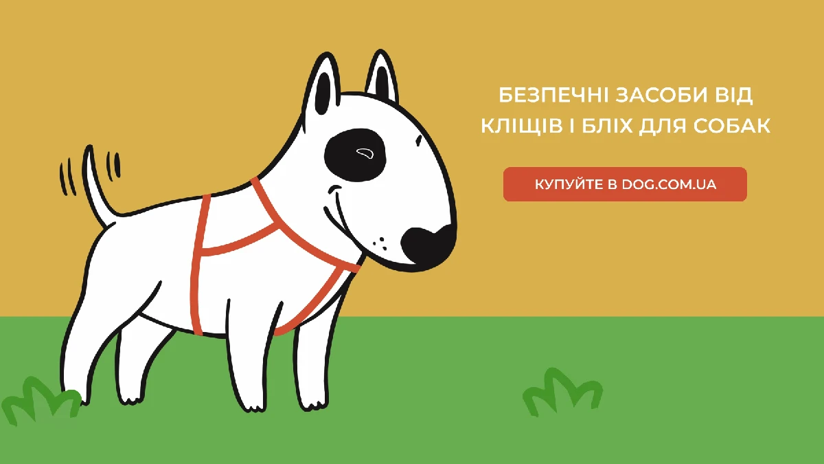 Dog.com.ua
