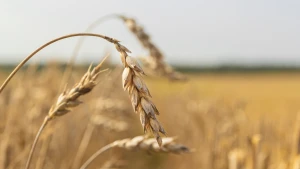 Зображення ілюстративне. Canva