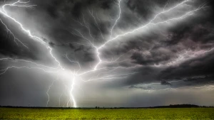 Зображення ілюстративне. Canva