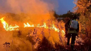 Пожежа на Херсонщині