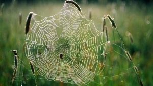 Зображення ілюстративне. Canva
