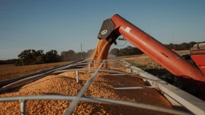 Зображення ілюстративне