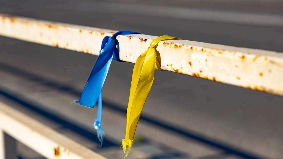українські ленти