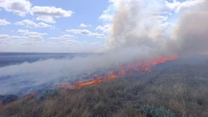 Пожежа на заповідному масиві "Південний"