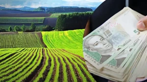 вартість землі