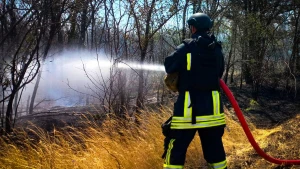 пожежа на Херсонщині