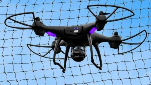 Антодронові сітки