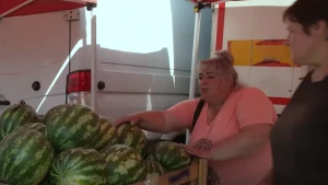 кавуни з Херсонщини