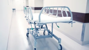 Зображення ілюстративне. Саnva