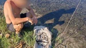 незаконний вилов риби