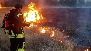 рятувальник