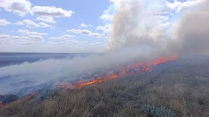 Пожежа на заповідному масиві "Південний"