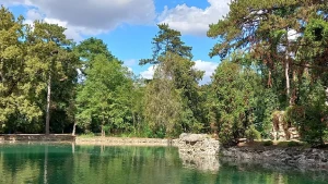 Асканія-Нова