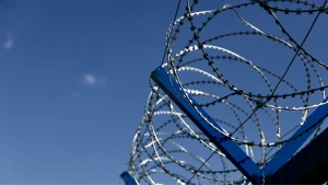 Зображення ілюстративне. Canva