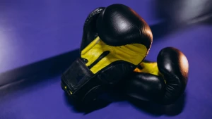 боксерські рукавиці