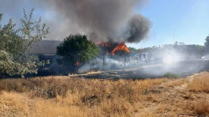 обстріл Зеленівки