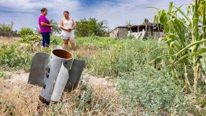 
На присадибній ділянці жительки Давидового Броду
