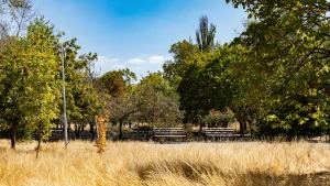 Парк "Херсонська фортеця"