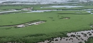 дно Каховського водосховища 