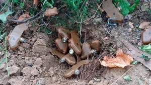 Міни "Пелюстка". Фото: ДСНС